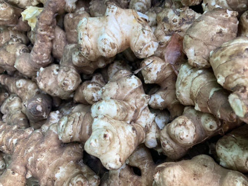 Picture of Jerusalem Artichokes