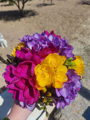 Picture of Bouquet of Freesias