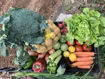 Picture of Mixed Vegetable Box – Fresh, Seasonal & Customizable