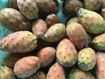 Picture of Prickly Pears - Unpeeled